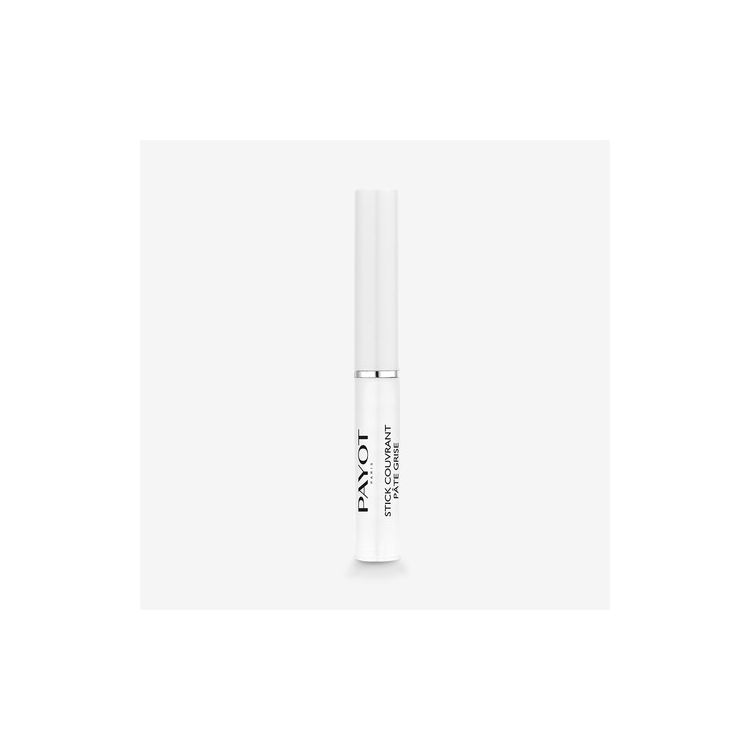 Payot Stick Couvrant Pâte Grise 1.6G